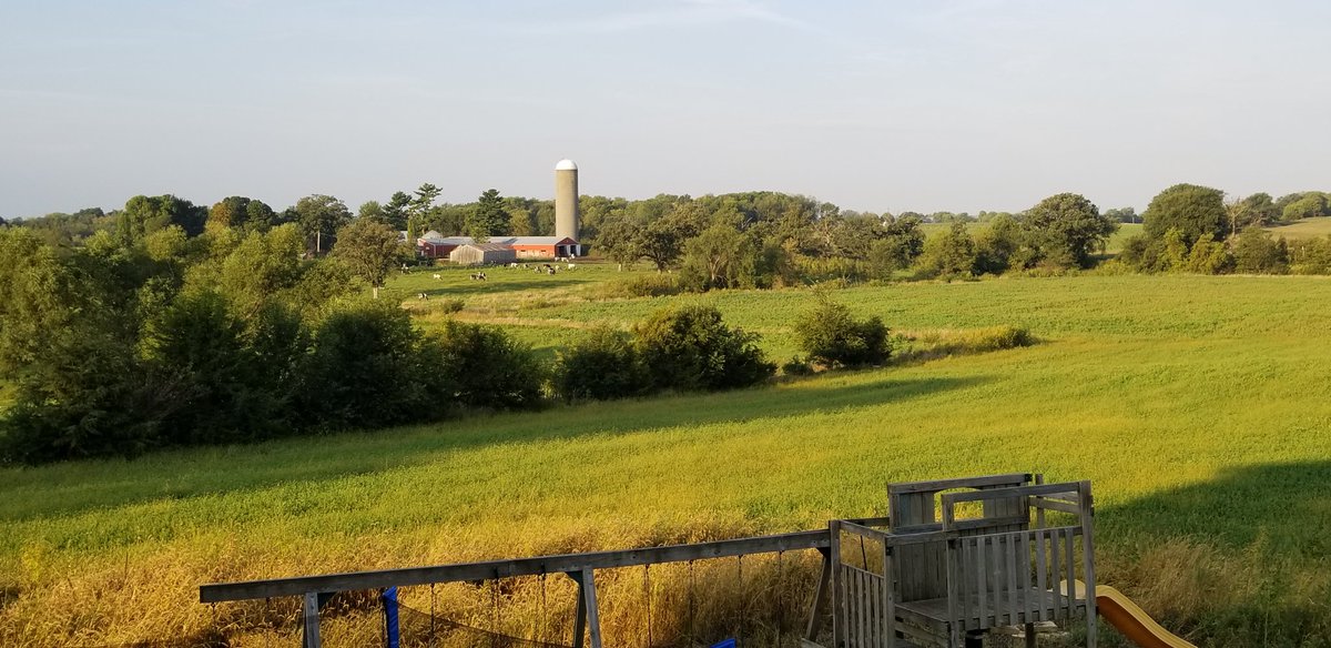 newdaydairy's tweet image. #thousandwords #undeniablydairy