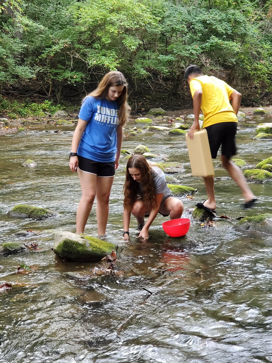 Hon & AP Bio tweet media