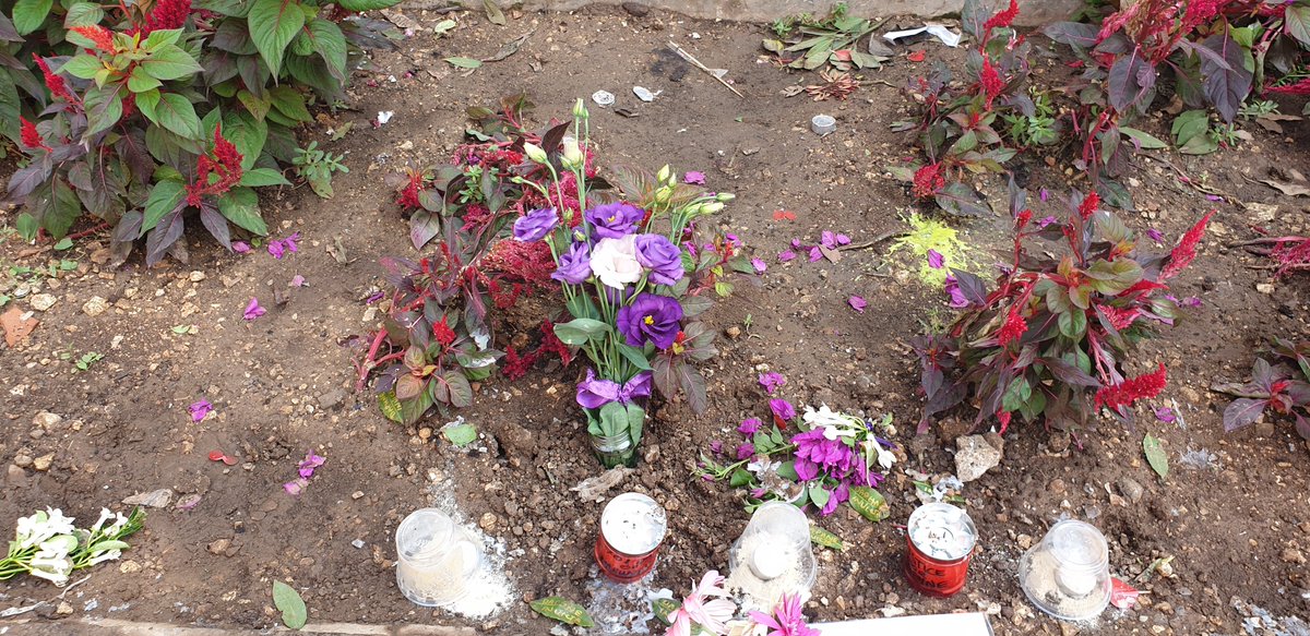 occupyjusticema's tweet photo. #MemorialWatch 2: Posters placed this a.m. were cleared, candles turned upside down - perhaps they didn't notice flowers. 1st photo morning, then cleared, & as always replaced. As we will continue to do till justice is served @AlexCrawfordSky @camanpour @rebecca_vincent @coe https://t.co/jpg78Gt0bF