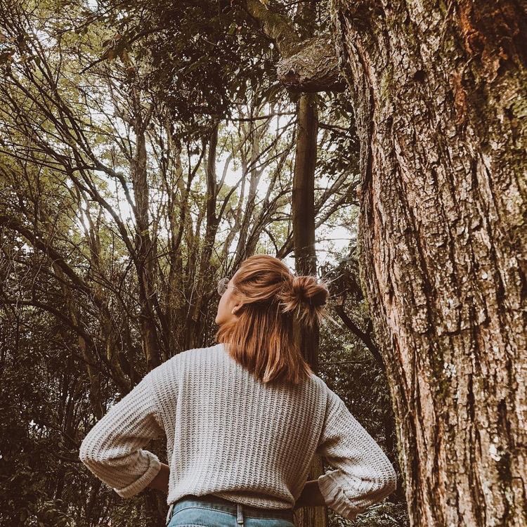 bluevibes4's tweet image. — forest photos