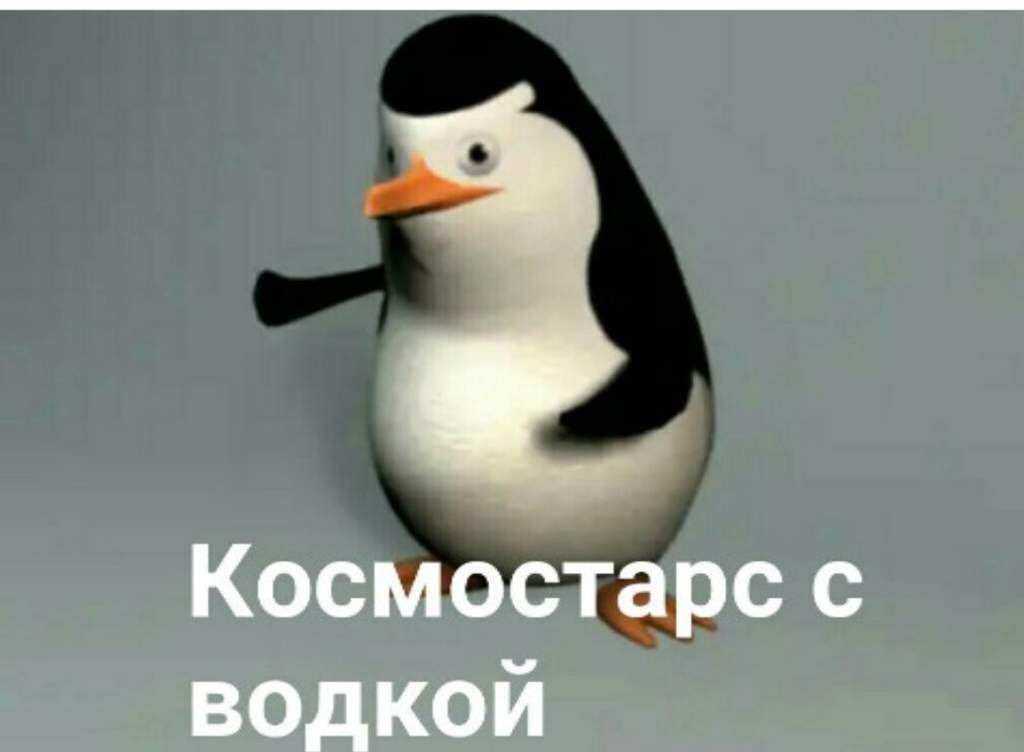 Смешная картинка космостарс