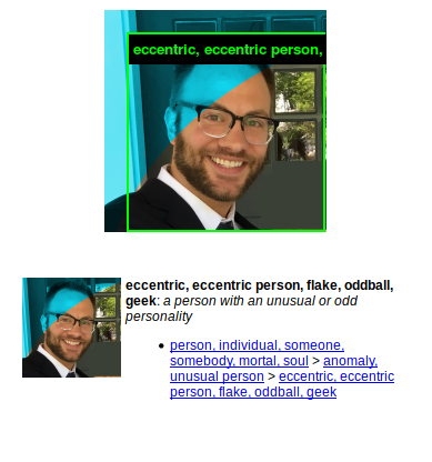 Imagenet roulette classification for my twitter AVI: "anomaly, unusual person > eccentric, eccentric person, flake, oddball, geek"