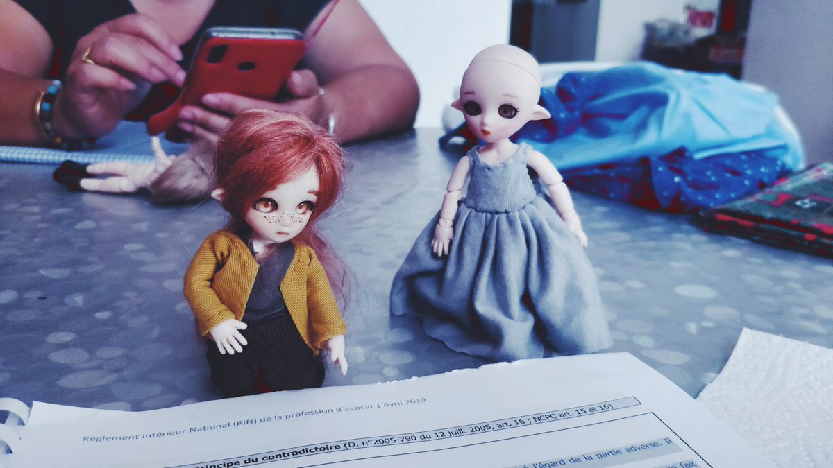 They're so cute! Tomo and Arietty are supporting me studying for my exam. 
My mum said I'm not good at sewing so she's going to make a cute dress for my doll Nerida 🥰
#オビツ11 #プチフェアリー #petitefairy   #poupée #ob11 #12thscale