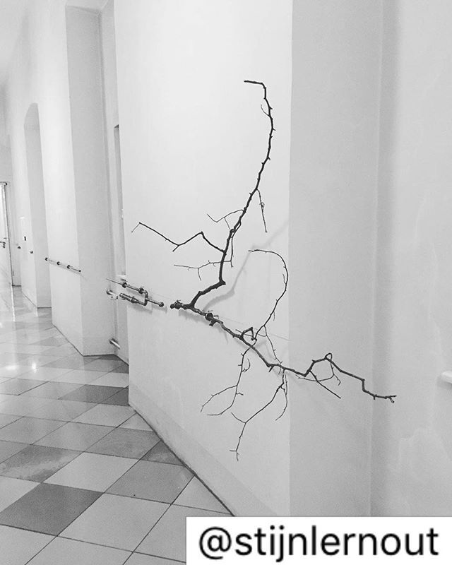 Irena Eden & Stijn Lernout // Kunst@IHS WIEN // Mittwoch, 18.09.2019 // 18:00h 
Josefstädterstraße 39, A-1080 Wien

#kunst #art #vernissage #wien #vienna #installationart #installationskunst #malerei #painting #abstractart #abstraktekunst #sitespecificart #wandmalerei #edenl…