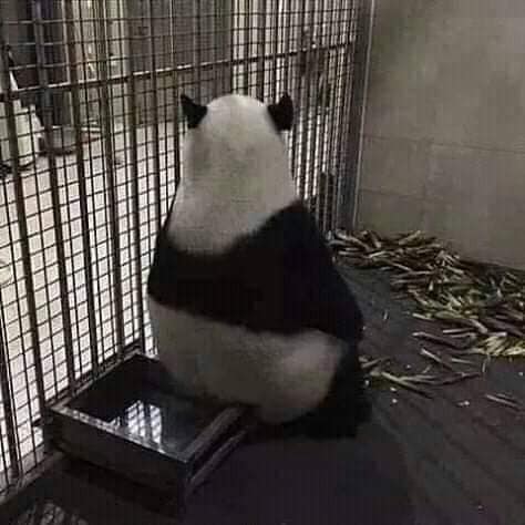 Diana Munoz tweet media