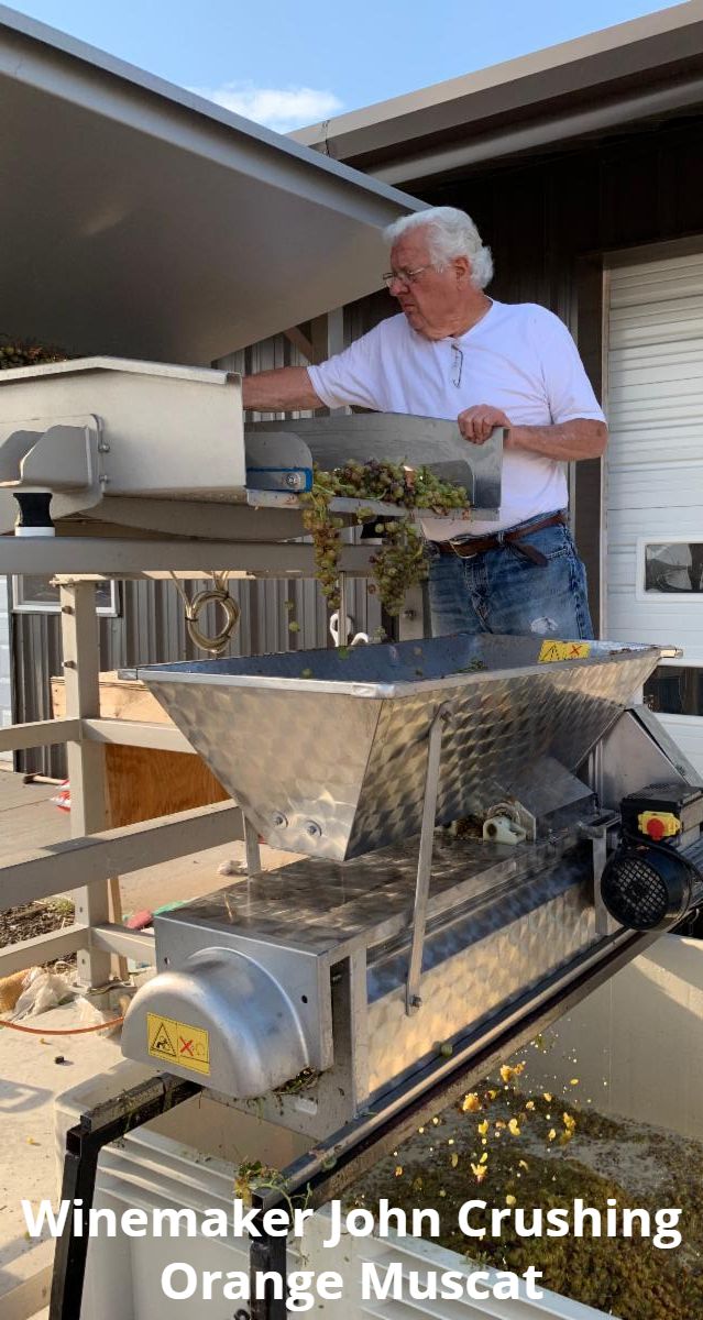 Harvest Party Sunday Oct 6th conta.cc/30opHNS