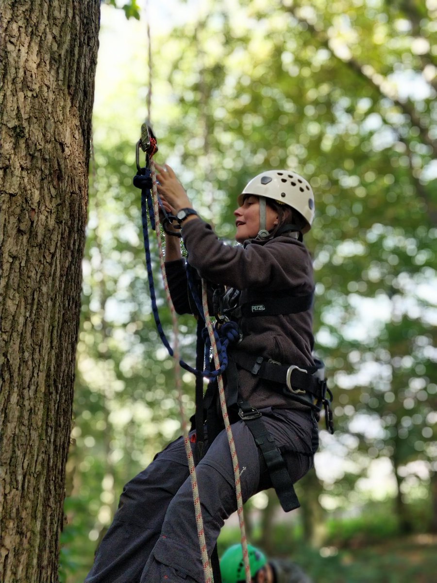 Great first two days with our Canopy Biology students @BiologyEHU learning how to access the canopy <a href="/canopyaccess/">Canopy Access</a>
