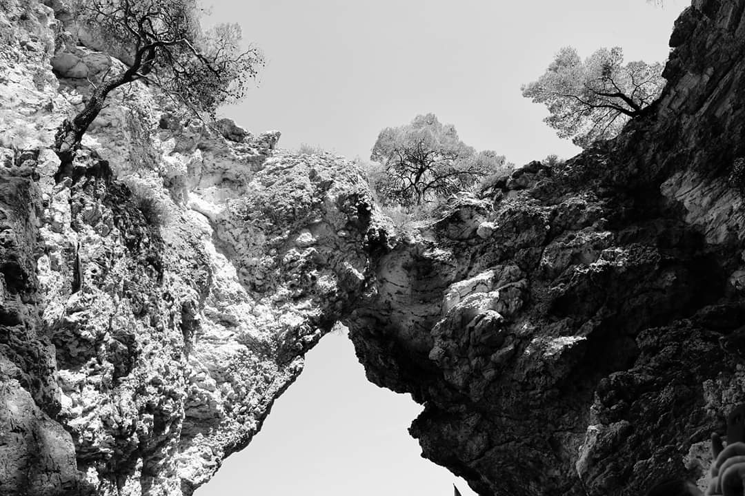 elisaimages's tweet photo. Promontorio garganico, Gargano, Foggia, Italia
#gargano #foggia #reportagephotography #photographernature #travelphotography #artgallery #artefotografica #bnphotography #italia_landscape #kunst https://t.co/2pPXJe7IkE