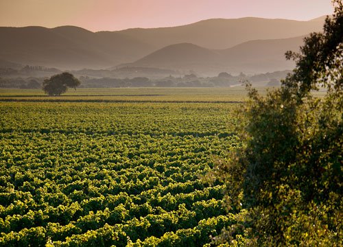 Spend more time at the destination with this Amazing cruise offer! conta.cc/30etnSu