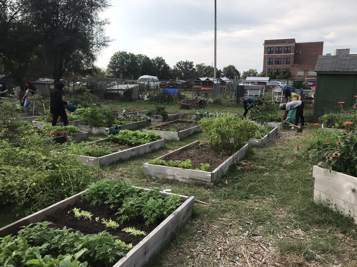 Red Birdy Digital tweet media