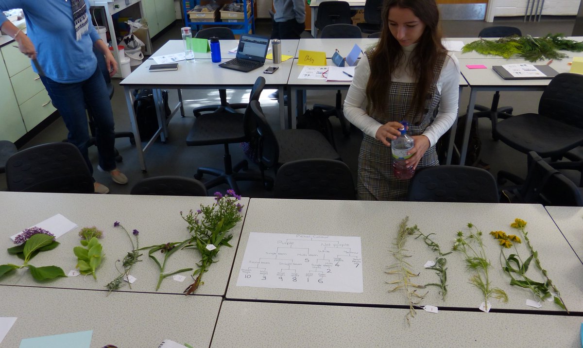 Dr M still going wild! tweet media