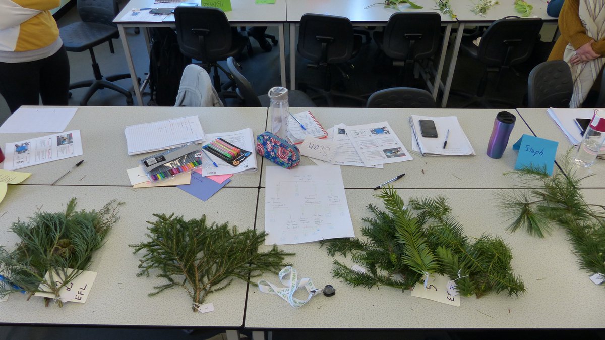 Dr M still going wild! tweet media