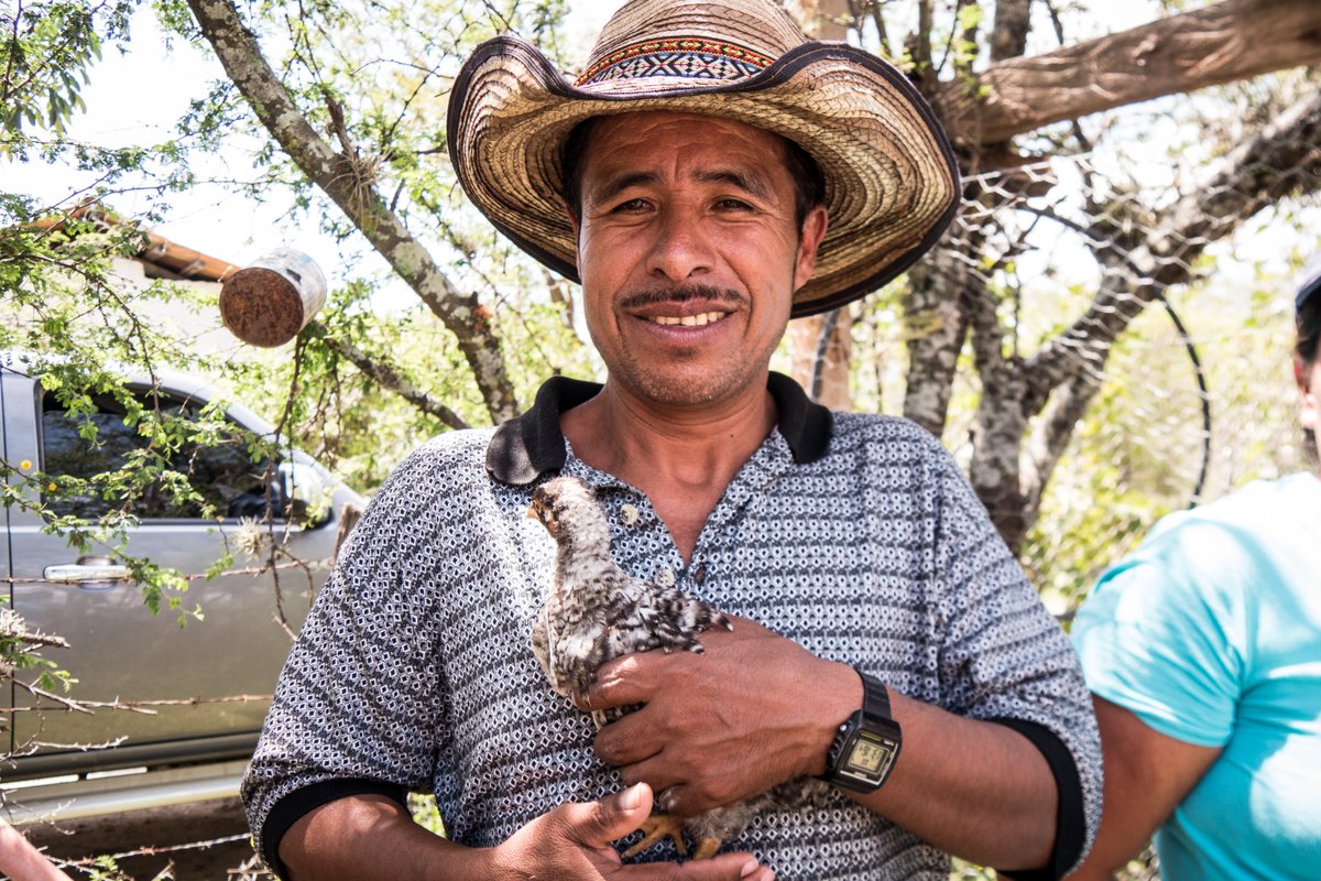 A few months ago, Trump froze foreign aid to #Guatemala. Now, as NGOs fire staff and shutter offices, people like Carlos Marroquín are being left behind. New <a href="/NPRGoatsandSoda/">NPR Goats & Soda</a> <a href="/NPR/">NPR</a> npr.org/sections/goats…