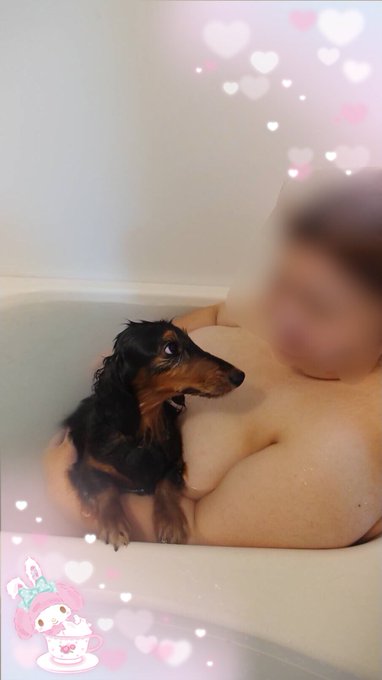 愛犬とお風呂～🛁*。

助けを求めている愛犬w

腕太い～(T_T)w https://t.co/zoBnGHf0JE