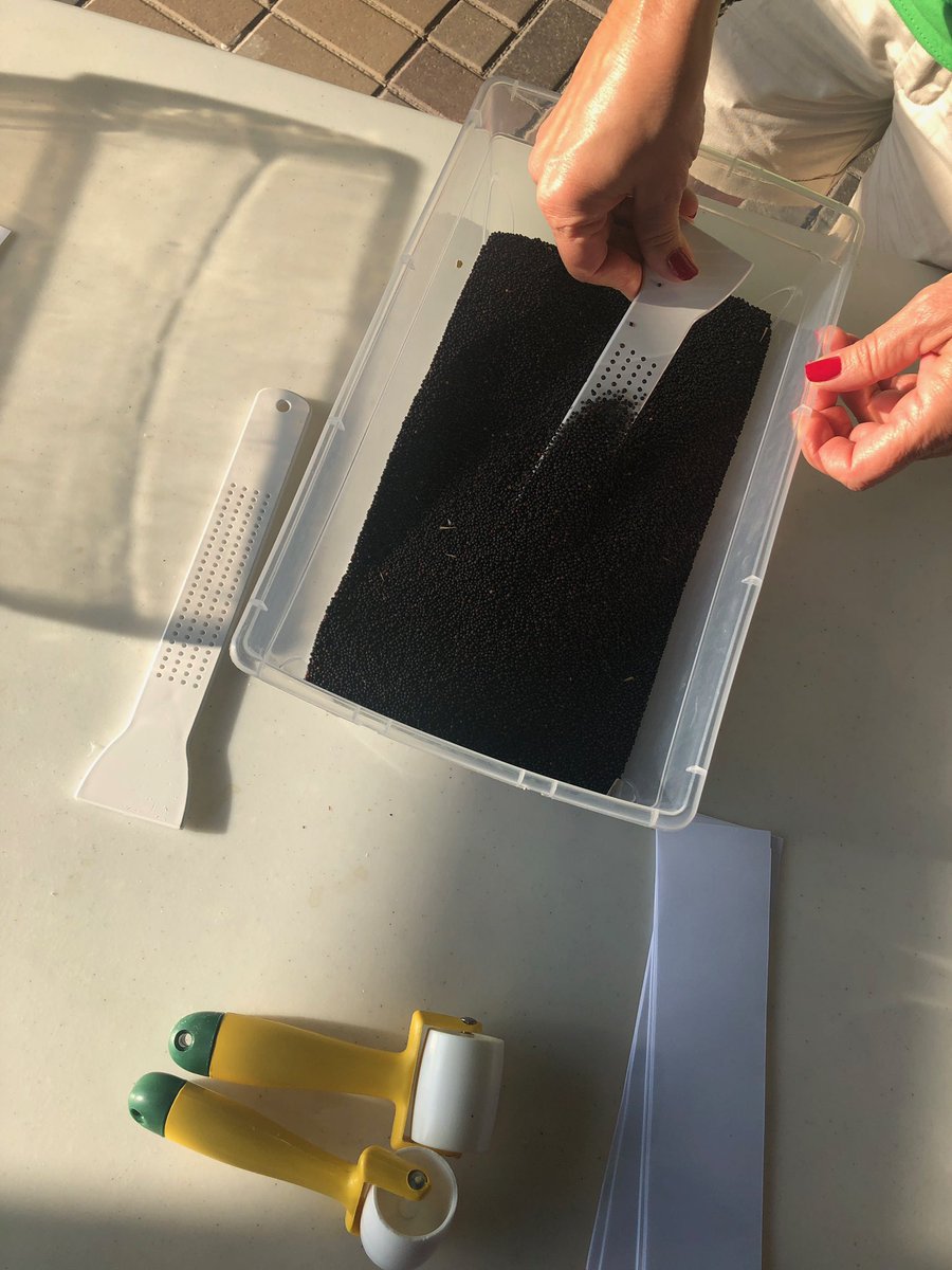 ManitobaCanola's tweet photo. We are excited to be a part of @aitcmb Amazing Agriculture Adventure over the next 3 days! We will be crushing canola seeds with students! https://t.co/9vfMe5aj56