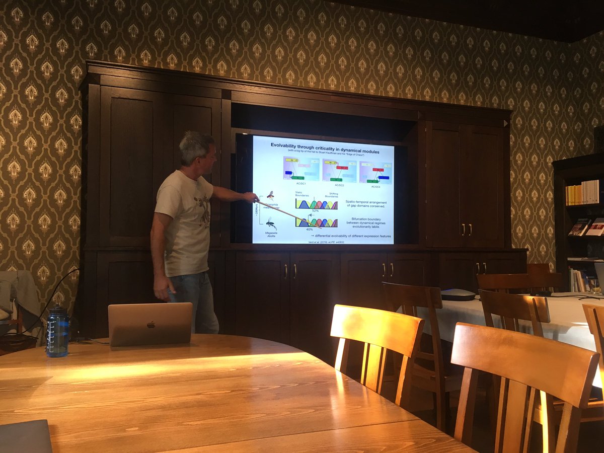 Alvaro Köhn-Luque (@AlvaroKohn) on Twitter photo 2019-09-17 14:19:06 What a beautiful talk by @yoginho @CASOslo about dynamic modularity in evolution, very cool work @BertaVerd What a beautiful talk by @yoginho @CASOslo about dynamic modularity in evolution, very cool work @BertaVerd