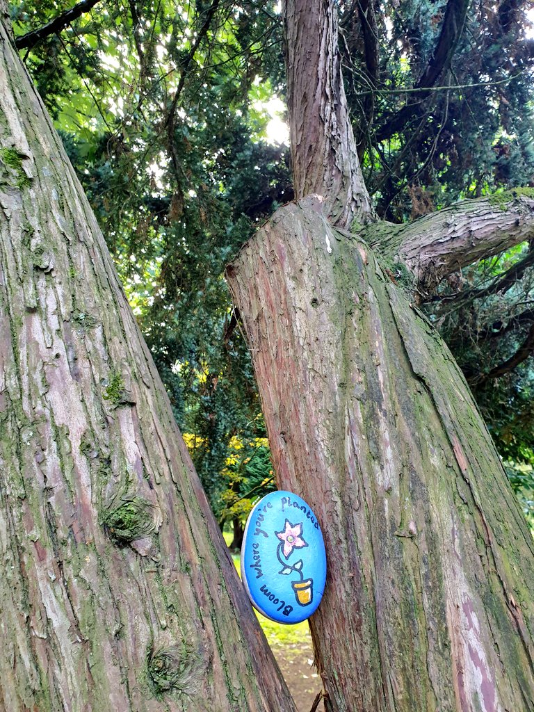 qubgradschool's tweet photo. Recognise any of these places? There is still a chance to be a #WelcomeWeekWinner from now until 4pm on Friday! Find a welcome rock on campus and post a photo to Twitter with #GradSchoolRocks (1 winner to be selected at random 🎁) https://t.co/xmXqlJWuQk