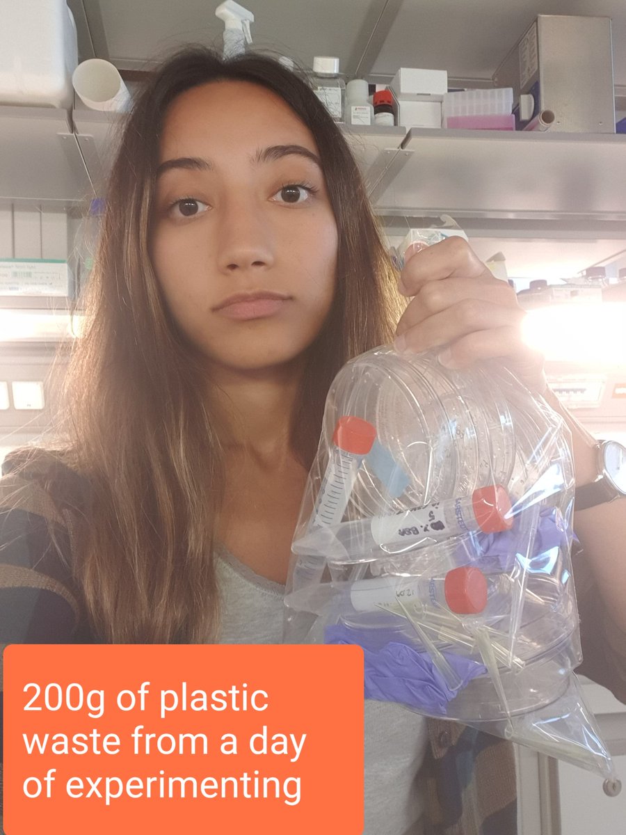 Life scientists create nearly 2% of the plastic waste and I'm doing my fair share! Seems like I produce around 50 kg per year in the lab. 
#LabWasteDay #sustainablescience 
Glad that #elifeambassadors raise these issues and try finding solutions. #lessplasticisfantastic 🌍🌍🌍