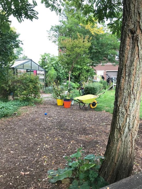 rinibiemans's tweet photo. De toolkit voor ieder park: kas/opslag/koffie gereedschap laat de natuur het werk doen samen met bewoners #ecosiaal #stadsgeneeskunde #rotterdam #proefpark #duurzame100 #tuinmanindewijk #creatiefbeheer https://t.co/Vp2ZFLUE8e