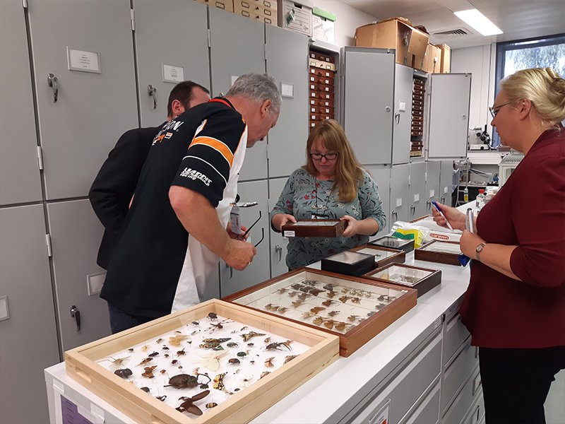 FeraScience's tweet photo. Last week we were delighted to be recorded for the BBC Radio York Gardening Programme. Our topics included #InsectMonitoring, #Xylella and much more. The material will be aired on Sunday 6th &amp;Sunday 13th October so be sure to tune in to hear from the Fera team #PlantClinic https://t.co/PwBs8vQtzJ
