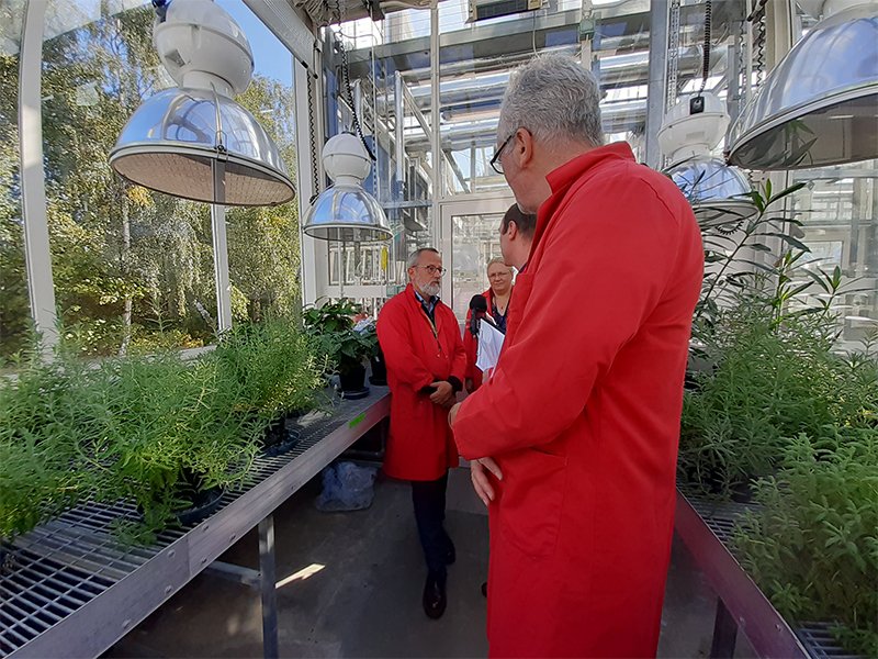 FeraScience's tweet photo. Last week we were delighted to be recorded for the BBC Radio York Gardening Programme. Our topics included #InsectMonitoring, #Xylella and much more. The material will be aired on Sunday 6th &amp;Sunday 13th October so be sure to tune in to hear from the Fera team #PlantClinic https://t.co/PwBs8vQtzJ