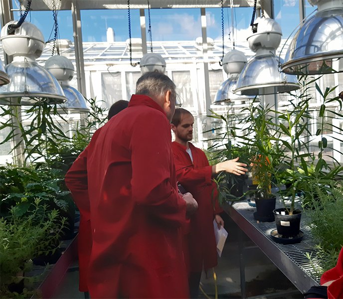 FeraScience's tweet photo. Last week we were delighted to be recorded for the BBC Radio York Gardening Programme. Our topics included #InsectMonitoring, #Xylella and much more. The material will be aired on Sunday 6th &amp;Sunday 13th October so be sure to tune in to hear from the Fera team #PlantClinic https://t.co/PwBs8vQtzJ