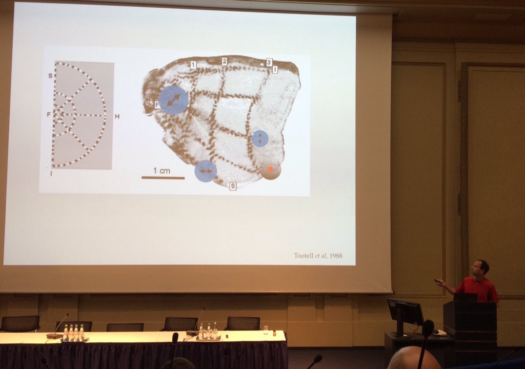 Michael Shadlen <a href="/shadlen/">Michael Shadlen</a> on flexible decision making #MCC2019