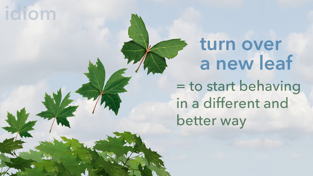 Learner S Dictionary On Twitter Idiom Turn Over A New Leaf To Start Behaving Or Living In A Different And Better Way The Program Helps Former Convicts Turn Over A New