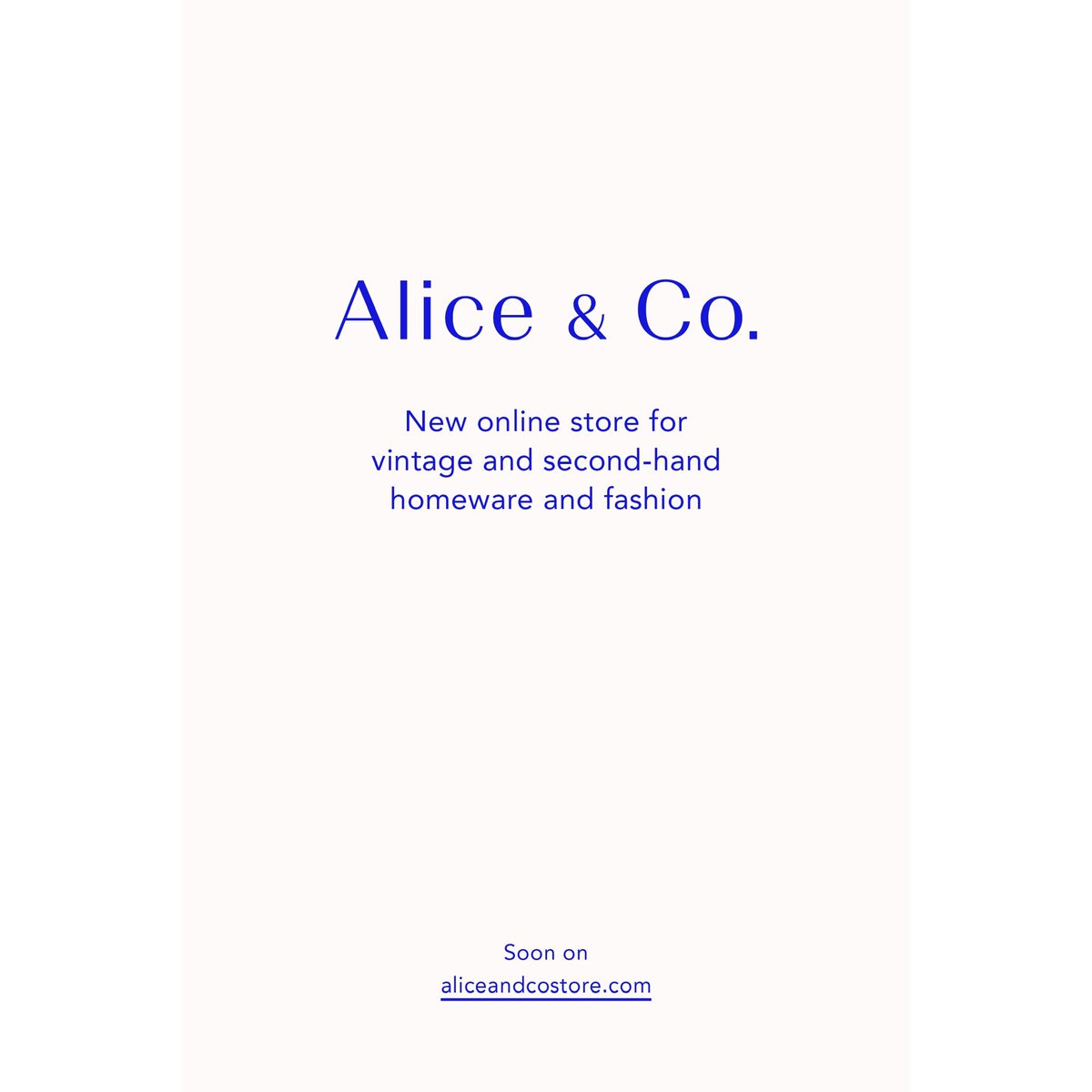 Alice Bosc tweet media