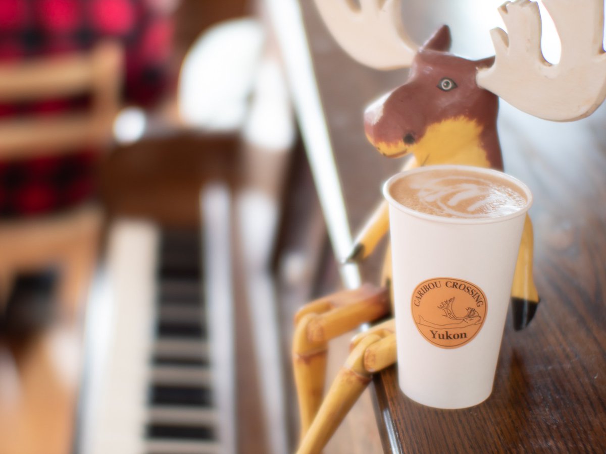 CaribouCrossing's tweet photo. The end of the summer is getting close, Come on down and have a morning treat at our Cafe! Enjoy our freshly made donuts and a barista coffee with Bean North Coffee Roasting Co. Ltd.  espresso beans. 

#coldmorning #hotcoffee #cappucino  #coffee #donuts #sugarrush #espresso https://t.co/eiqkanBclV