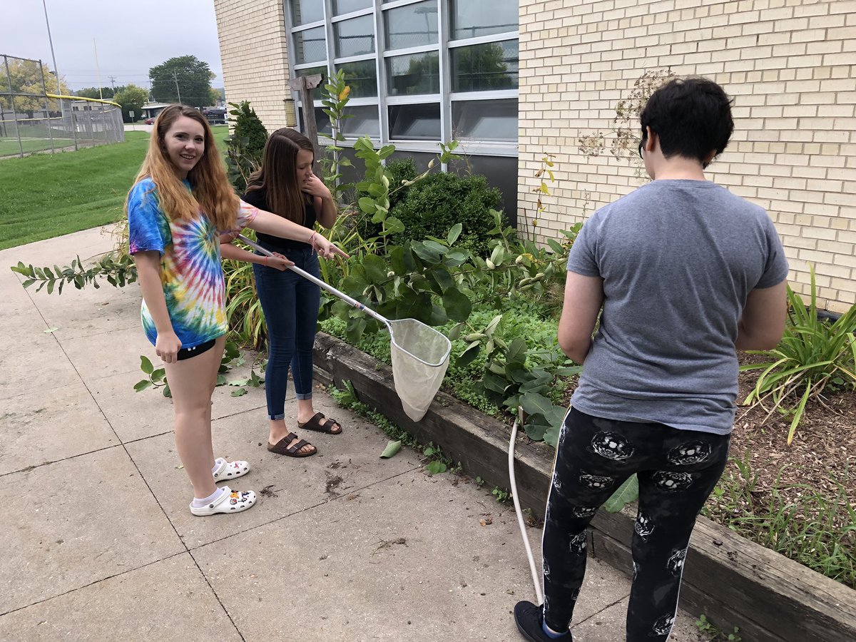 And today we are finding terrestrial organisms...<a href="/STEM_Saratoga/">@STEM_Saratoga</a> <a href="/edUcation_frwd/">James Murray</a> #TOGAtenth