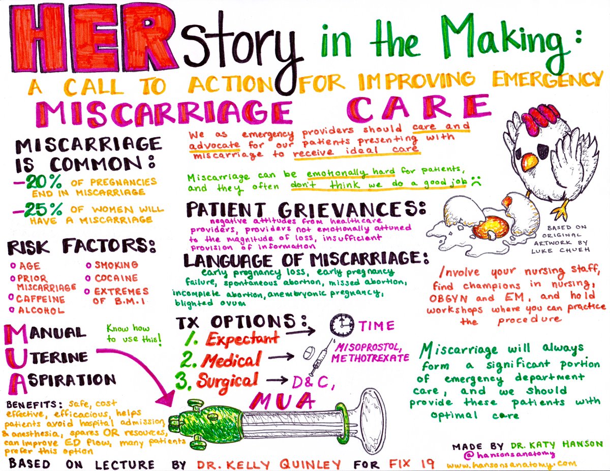 Miscarriage care by <a href="/KQ_MD/">Kelly Quinley</a> #FIX19 Graphic by <a href="/HansonsAnatomy/">Dr. Katelyn Hanson</a>