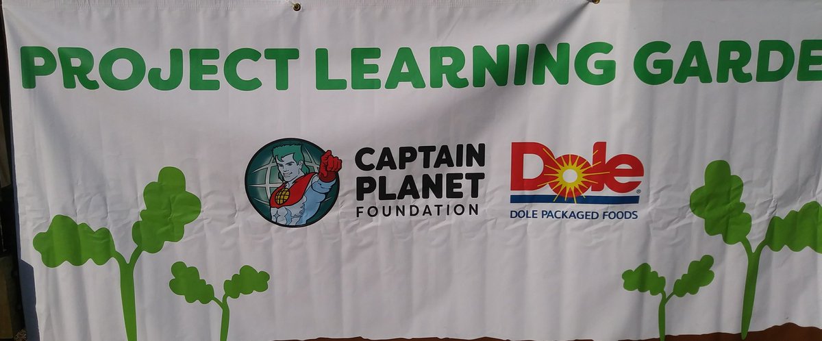AFCMims's tweet photo. Great big #Thankyou to @captainplanetfd @DoleTweets and @InglesAdvantage. @springhillelem had the best morning #harvesting, #prepping, and #eating the salad we grew in our #ProjectLearningGarden.
❤❤❤❤
@jess_boc 
@KCSScience 
@kcs_stem 
@KnoxSchools 
#HowDoesYourGardenGrow https://t.co/68TeCjCB8e