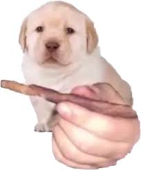 ProjectttX's tweet image. ¿Quieres?