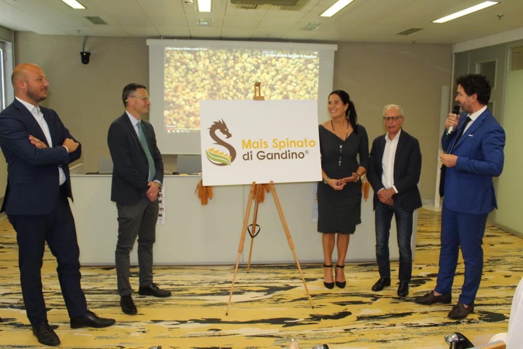 LaraMagoni's tweet photo. Conferenza di presentazione della 2a edizione del #GalaDelloSpinato, evento strategico per promuovere la bellezza delle nostre #Valli.
La #Cultura, l'#Enogastronomia e la #PromozioneTuristica fanno del galà dello #Spinato un evento imperdibile per #Gandino e per la #ValSeriana https://t.co/o1qO0Nc7vj