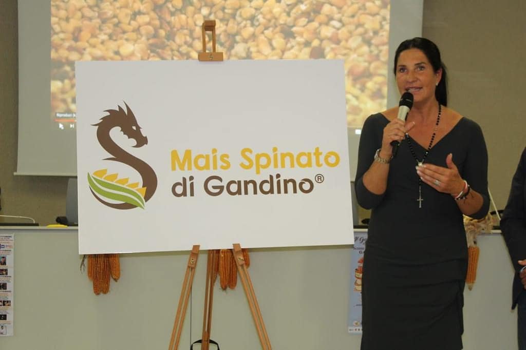 LaraMagoni's tweet photo. Conferenza di presentazione della 2a edizione del #GalaDelloSpinato, evento strategico per promuovere la bellezza delle nostre #Valli.
La #Cultura, l'#Enogastronomia e la #PromozioneTuristica fanno del galà dello #Spinato un evento imperdibile per #Gandino e per la #ValSeriana https://t.co/o1qO0Nc7vj