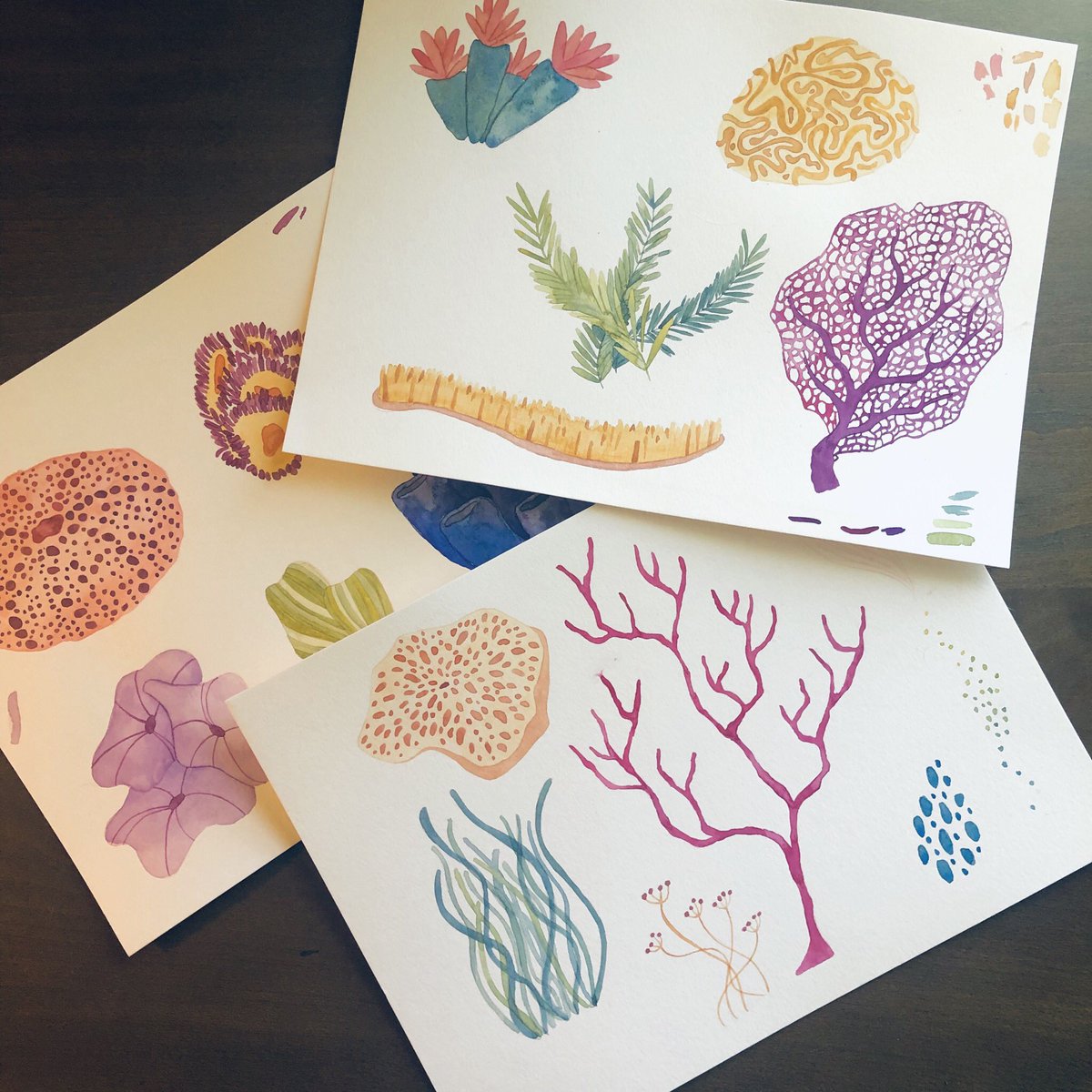 Samizabeth's tweet photo. Been hard at work on these guys, in the process of getting them all digitized so I can get them into a graphics package to include on my Etsy shop. This coral package will include 18 pieces with 3 color variations and 2 line work color variations. #samscribbles #watercolor #coral https://t.co/CQqYOrdCVY