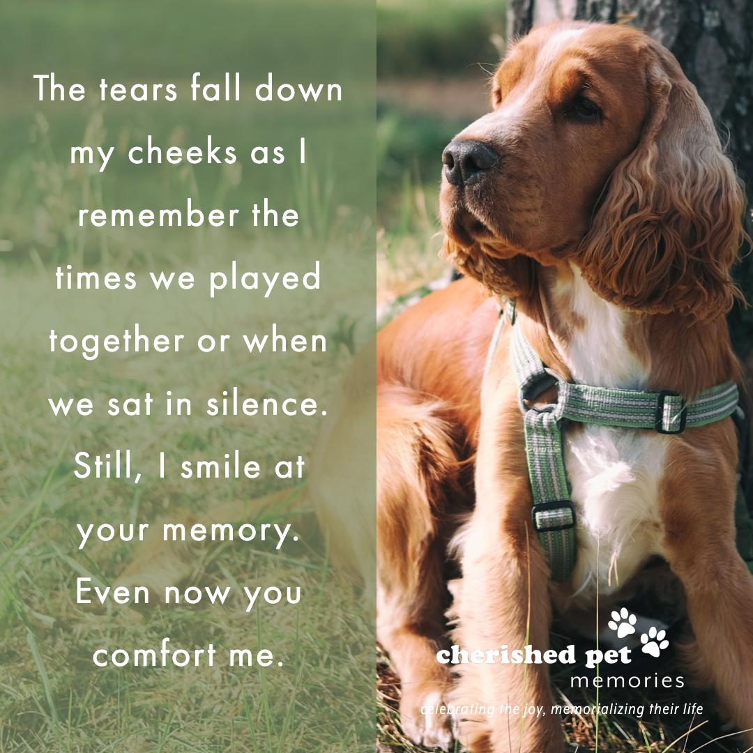 pet memories