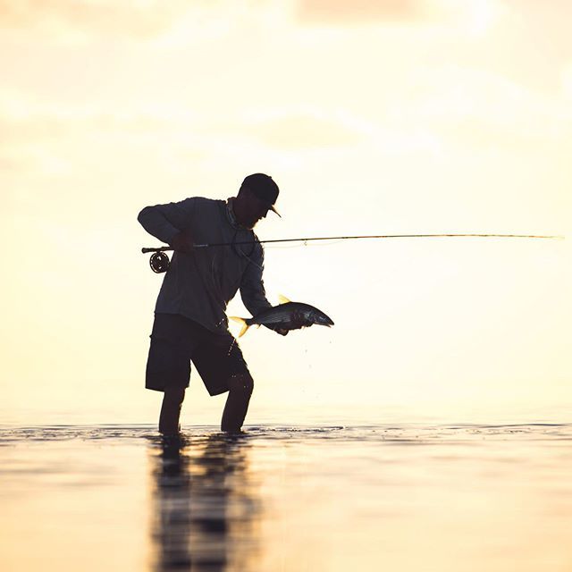 BadfishTv's tweet photo. @abacolodge https://t.co/a4bUOGIz3t https://t.co/ec925BU2Cl