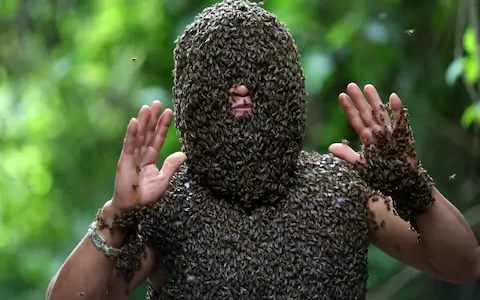 man covered in bees