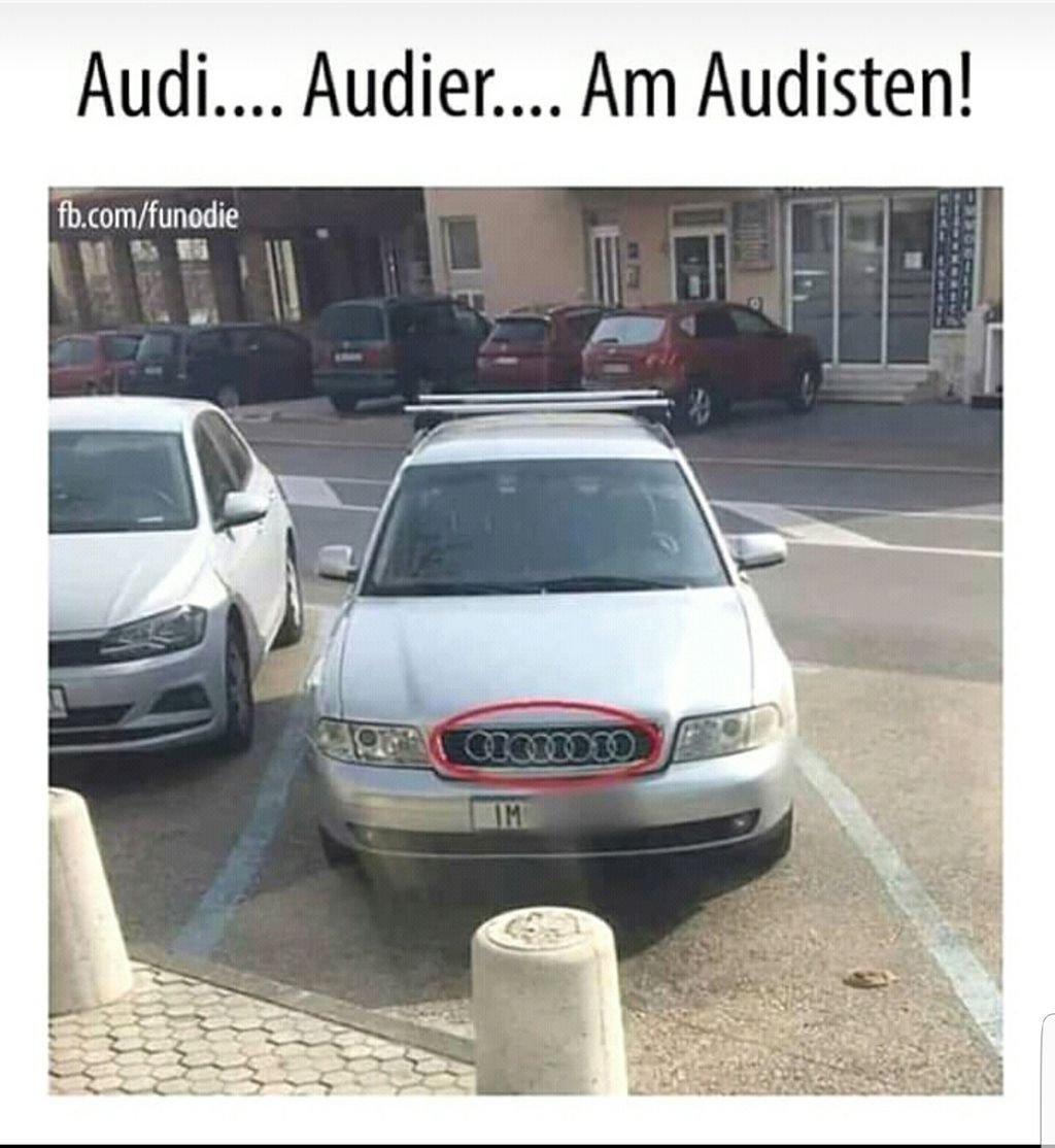 Täglich neue lustige Bilder &amp; Videos - App für Android und iPhone: mega.lol