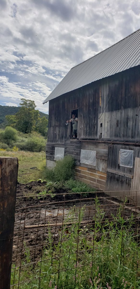 EdJackson8783's tweet image. So. Figure I'd try some pigeon hunting. Goal complete time to eat.
#eatgood
#thiswasamazing