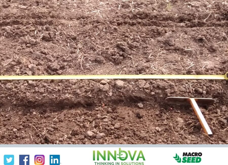 IAgroservicios's tweet photo. Siembra del campo demostrativo de @macro_seed en Nogoya, Entre Ríos! 

#siembradegruesa2019 #LDCsemillas #altorendimiento #maiz #corn #demostrativoMacroseed https://t.co/qUOTOVDuJ6