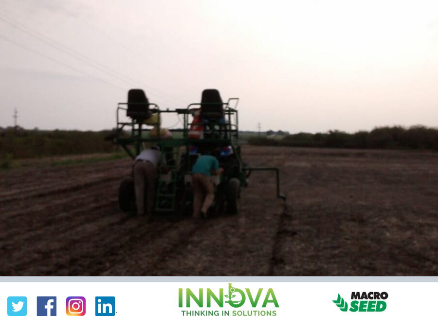 IAgroservicios's tweet photo. Siembra del campo demostrativo de @macro_seed en Nogoya, Entre Ríos! 

#siembradegruesa2019 #LDCsemillas #altorendimiento #maiz #corn #demostrativoMacroseed https://t.co/qUOTOVDuJ6