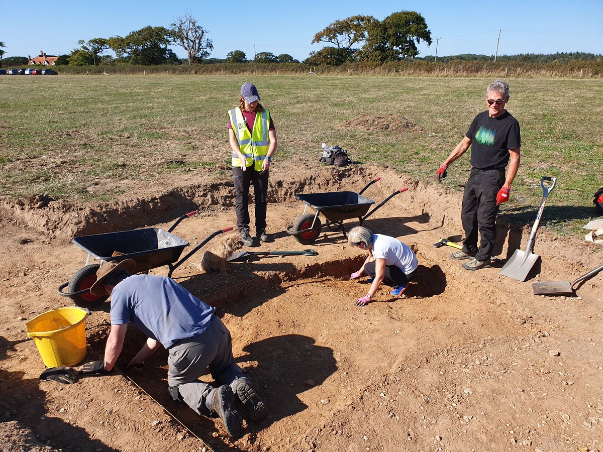 End of day 2 at the #PF2019 #NewForest #volunteer #Archaeology excavation. A glorious sunny day with lots of progress across all 3 trenches. Sterling supervision by #DigDog &amp; <a href="/BUARC_Archaeo/">BUARC</a>