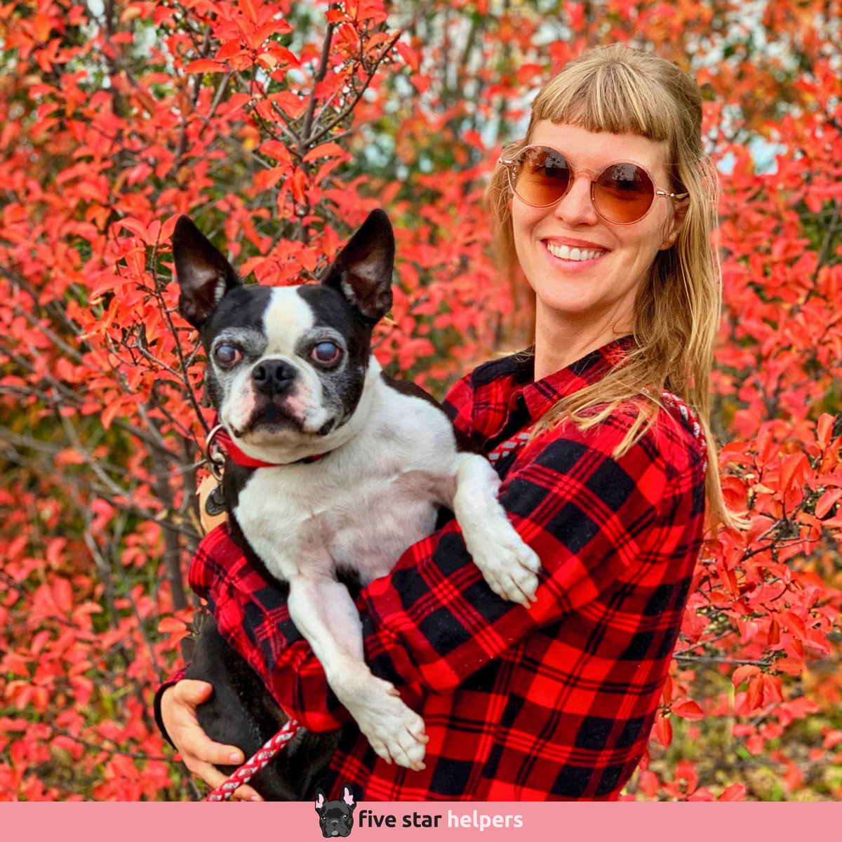 FiveStarHelper's tweet image. 🍁 A gorgeous fall day for dog walking with Milo, the Marquis of DoggoLand &amp;amp; VIP at Five Star Helpers.

⭐⭐⭐⭐⭐ Google Reviews
🐶 Need dog sitting or dog walking?
☎ 587-439-2414
📧 hello@fivestarhelpers.com