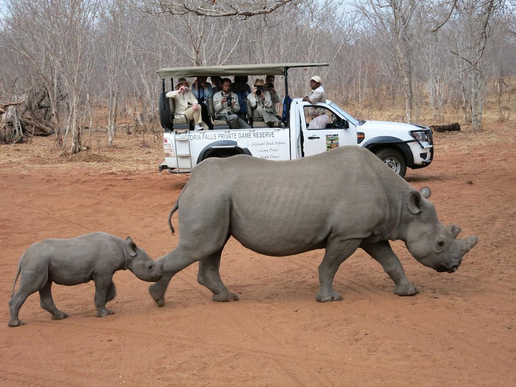 UW Alumni Tours, greece, japan, africa