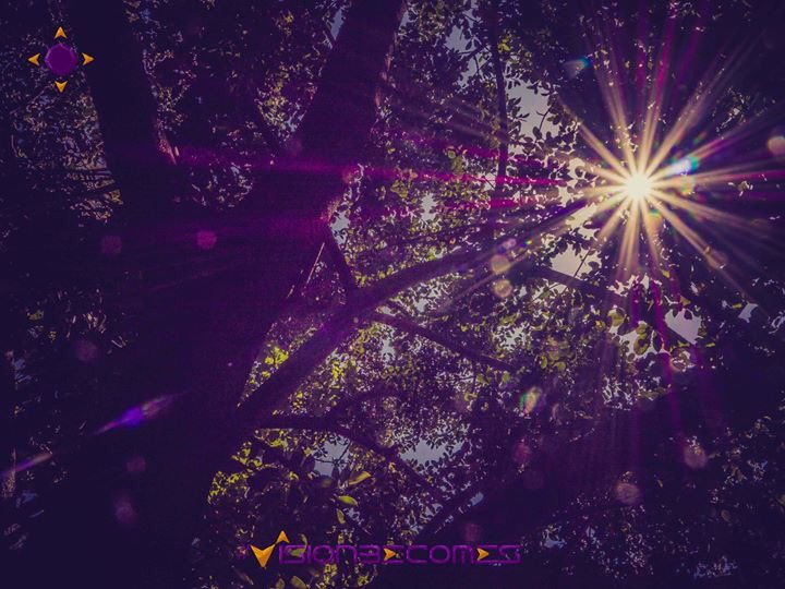 visionbecomes's tweet photo. #LoveLifeLoveKisumu.
#CaptureTheSpiritOfKisumu.
It Shines
Let It Shine on You.
#Kisumu.
#KisumuCity.
#KisumuPhotographer.
#SpiritOfKisumu.
@spiritofkisumu
@amazingkisumu
#VisionBecomes.
#BecomeTheShine.
#BecomeSonShine.
#IlluminatingKings. https://t.co/W9JKtGgNAd