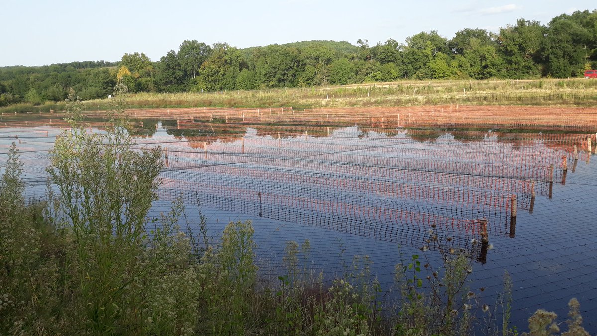 AstaracArrosGascogne tweet media
