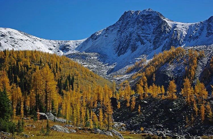 Who’s ready to embrace yellow trees and snowy peaks? Bring it, Fall! #kimberleybc #agoodplacetobe

📷 @dcousephotos